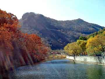 澳门二四六天天彩图库，郑州汽配会